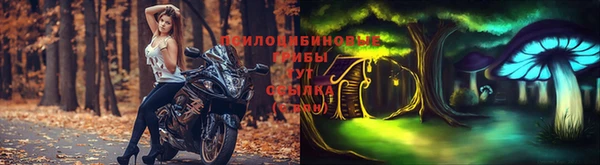 эйфоретик Алзамай